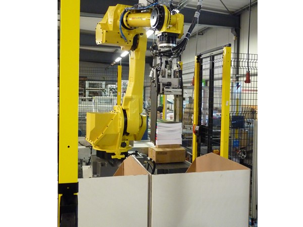 RECMI - Robot de mise en box piles vrac - préhenseur à pinces (1)