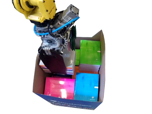 RECMI - Robot de mise en box piles vrac - préhenseur à pinces (3)